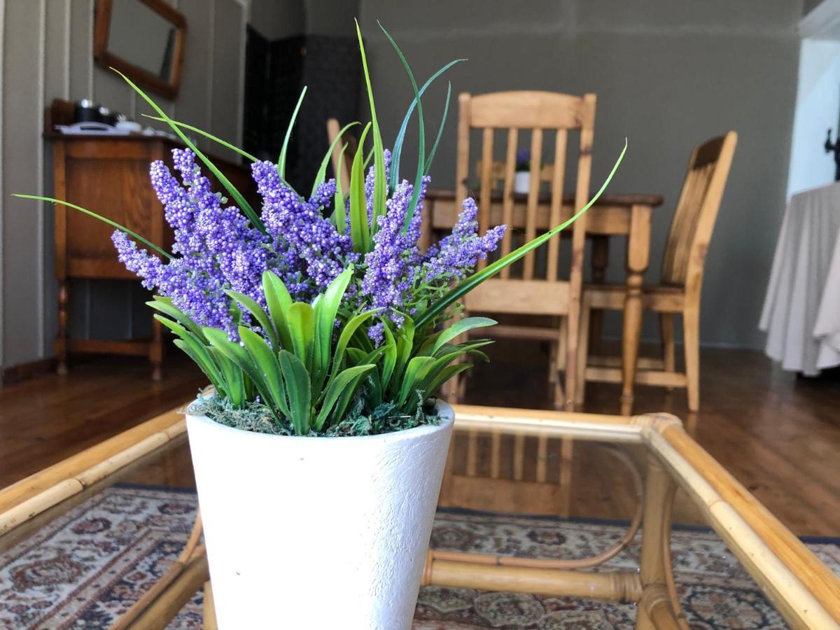 The Lavender Guesthouse Kroonstad Dış mekan fotoğraf